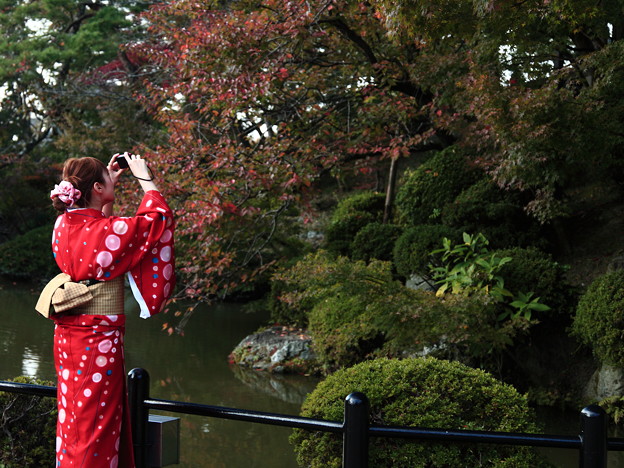 京都の清水寺にて紅葉の写真です。