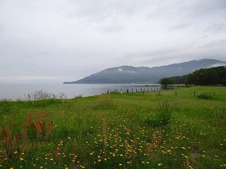 DSC00677