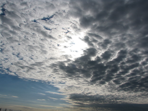 Photos: ヒツジ雲の後ろの太陽
